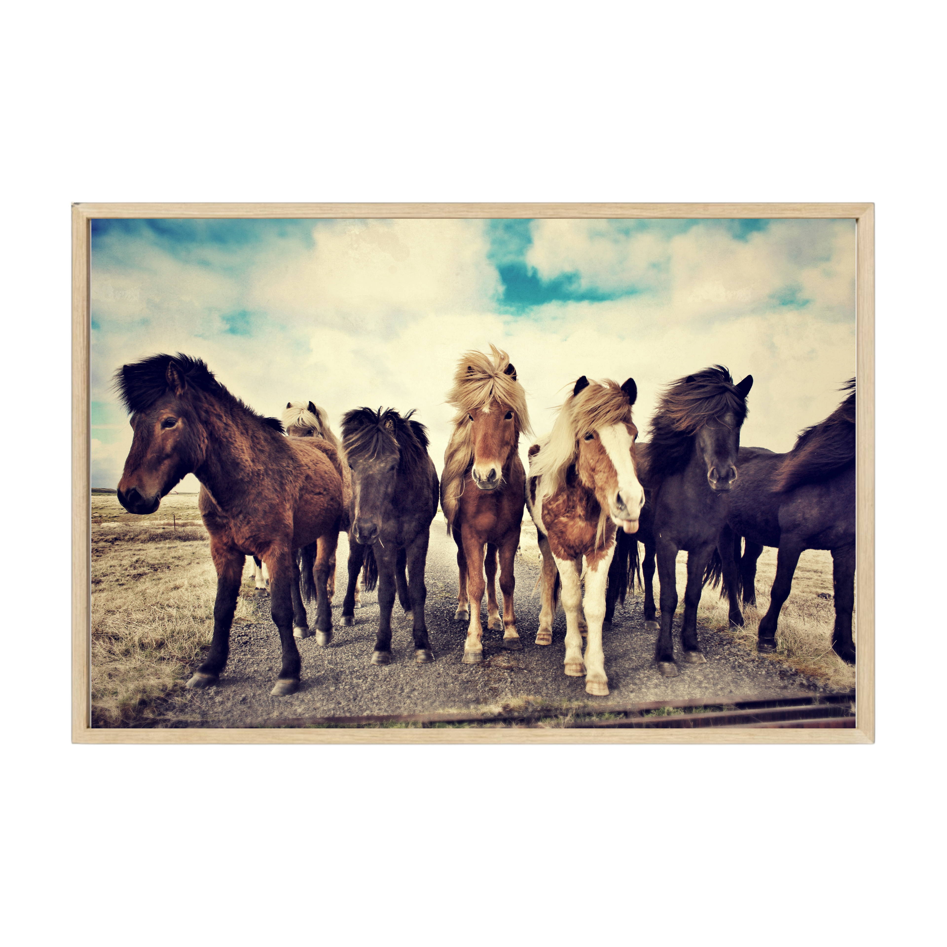 Vintage Scandinavian photography print featuring Icelandic horses in natural Nordic landscape, earthy muted tones for rustic calm décor.