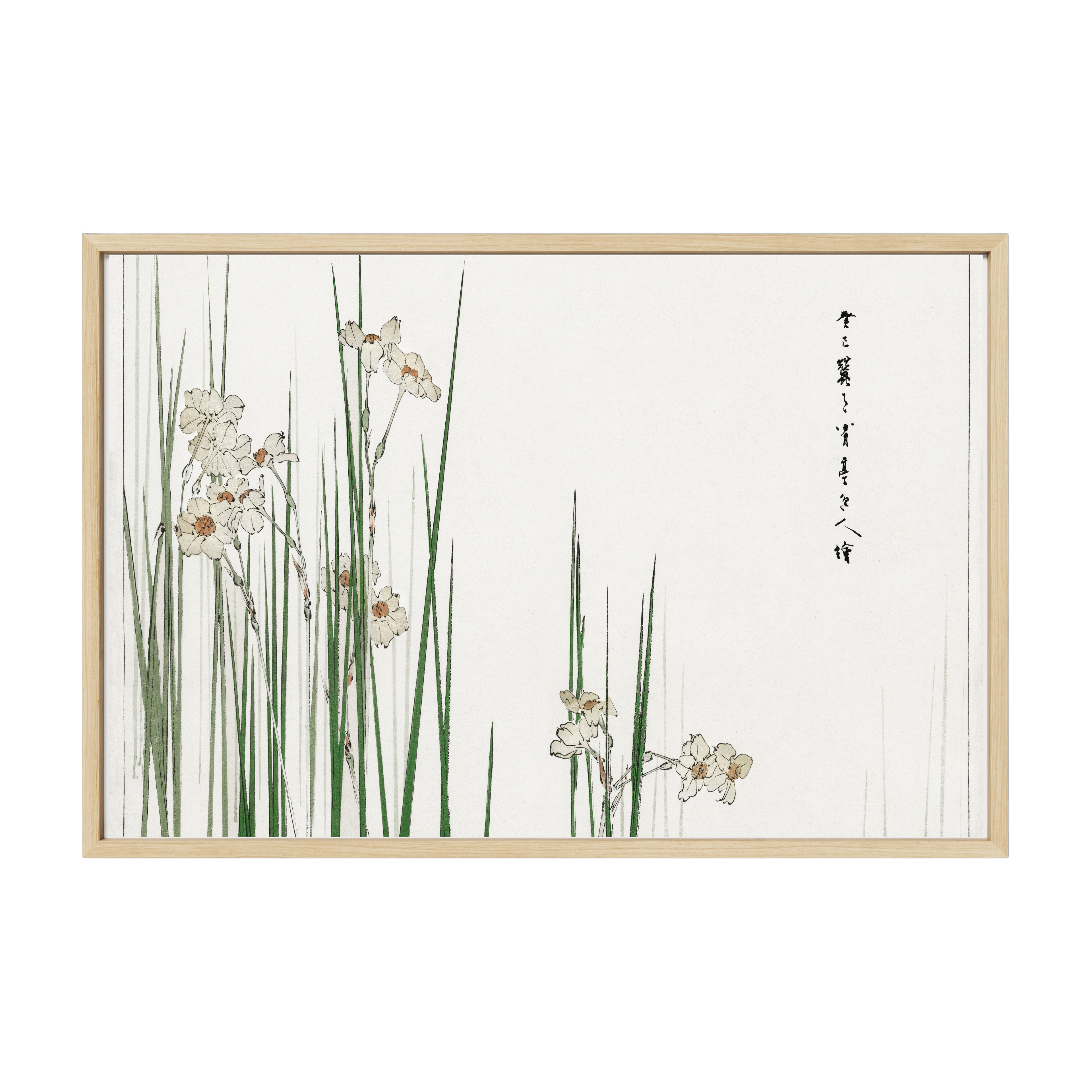 Vintage Japanese nature art print of jonquil flowers from Bijutsu Sekai by Watanabe Seitei, elegant botanical illustration in traditional style.