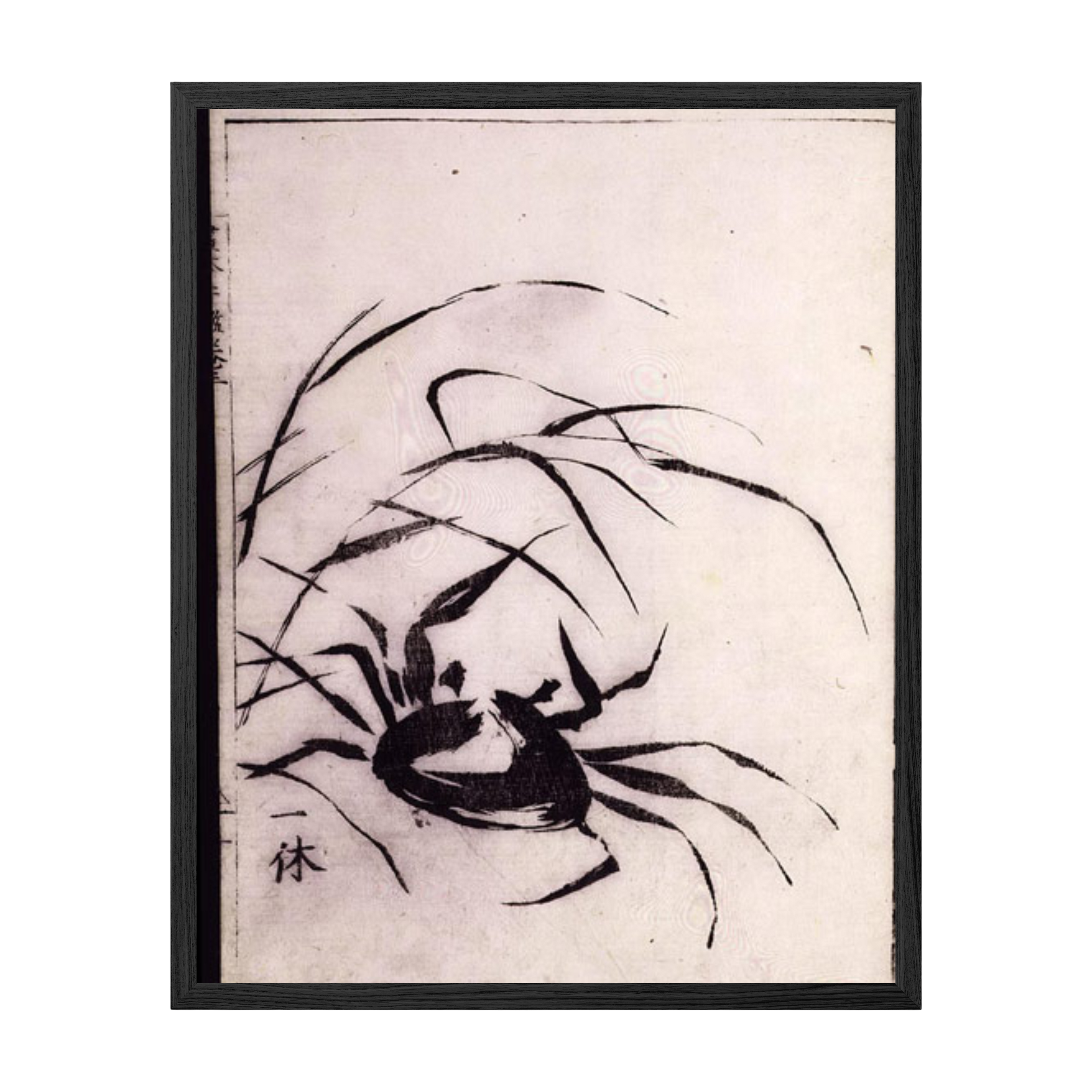 Framed artwork of a black ink spider design on a textured beige background