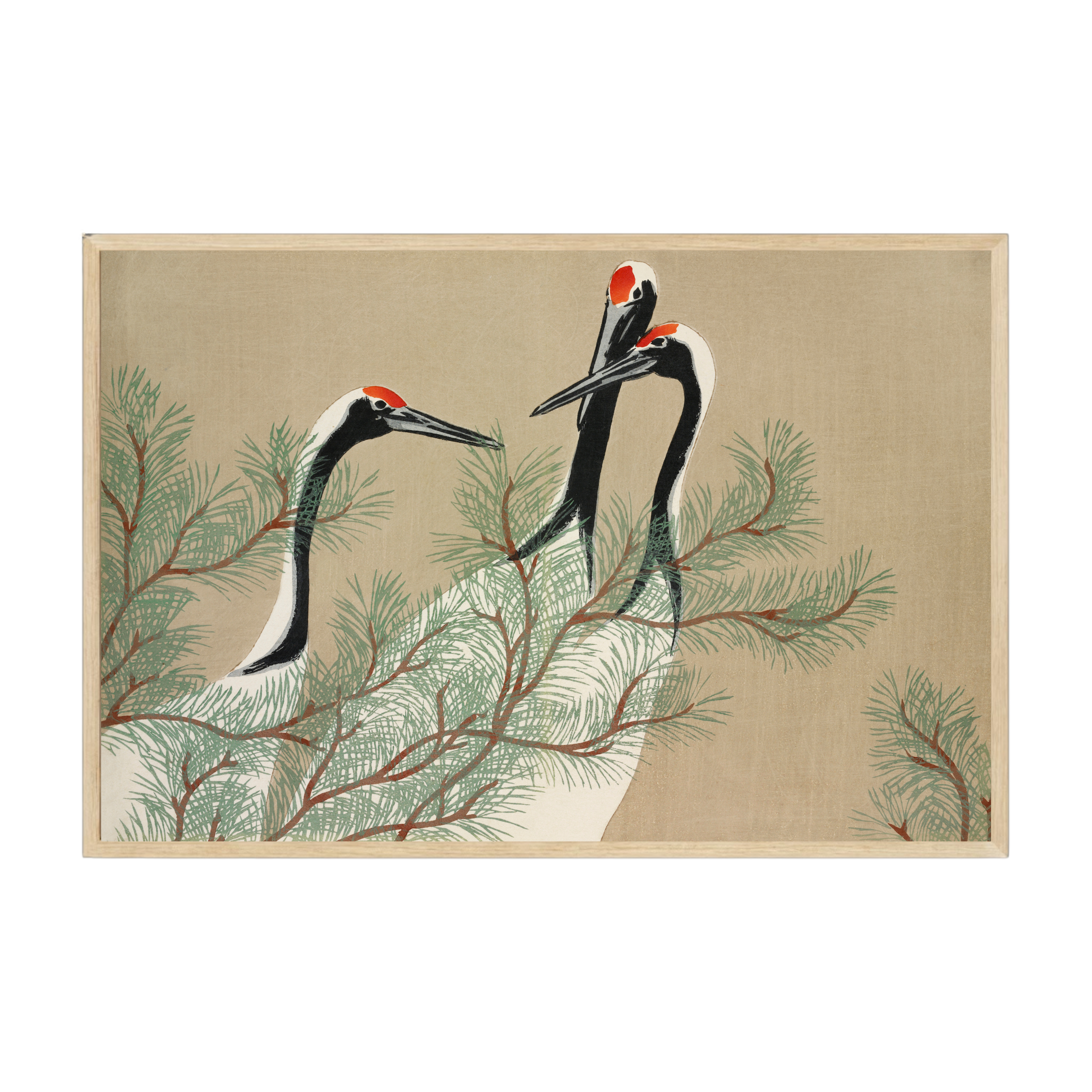 Vintage Japanese nature art print featuring elegant cranes from Momoyogusa, graceful minimalist wildlife imagery in muted tones.